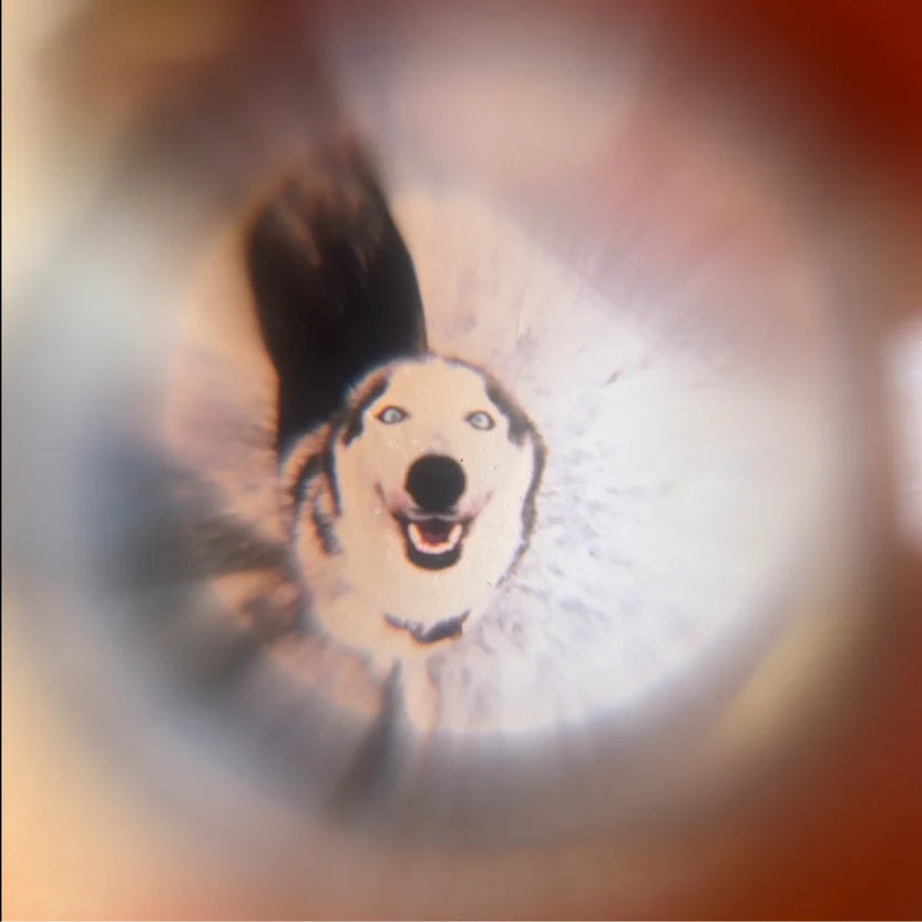 Po
